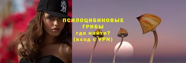 PSILOCYBIN Арсеньев