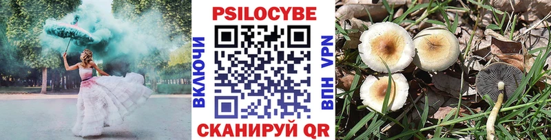 как найти закладки  Енисейск  Галлюциногенные грибы Psilocybine cubensis 
